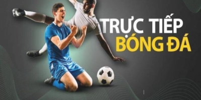 Trực tiếp bóng đá Tructiepbongda.report - Nâng tầm trải nghiệm bóng đá của bạn